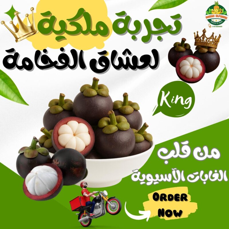 WhatsApp Image 2025-07-20 at 10.59.14 (1)